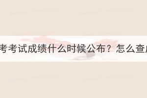 湖北成考考試成績什么時候公布？怎么查成績？